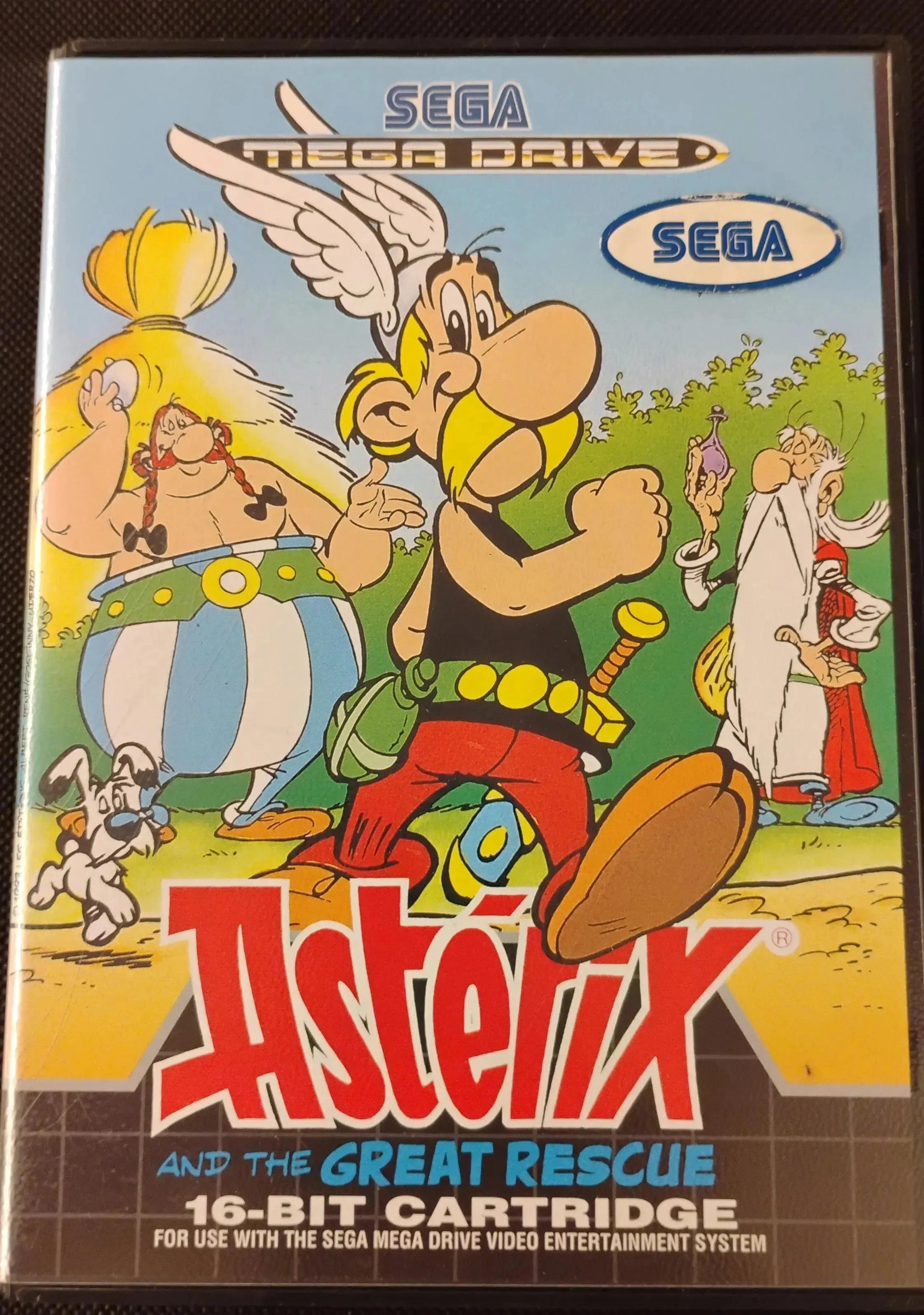 Asterix And The Great Rescue