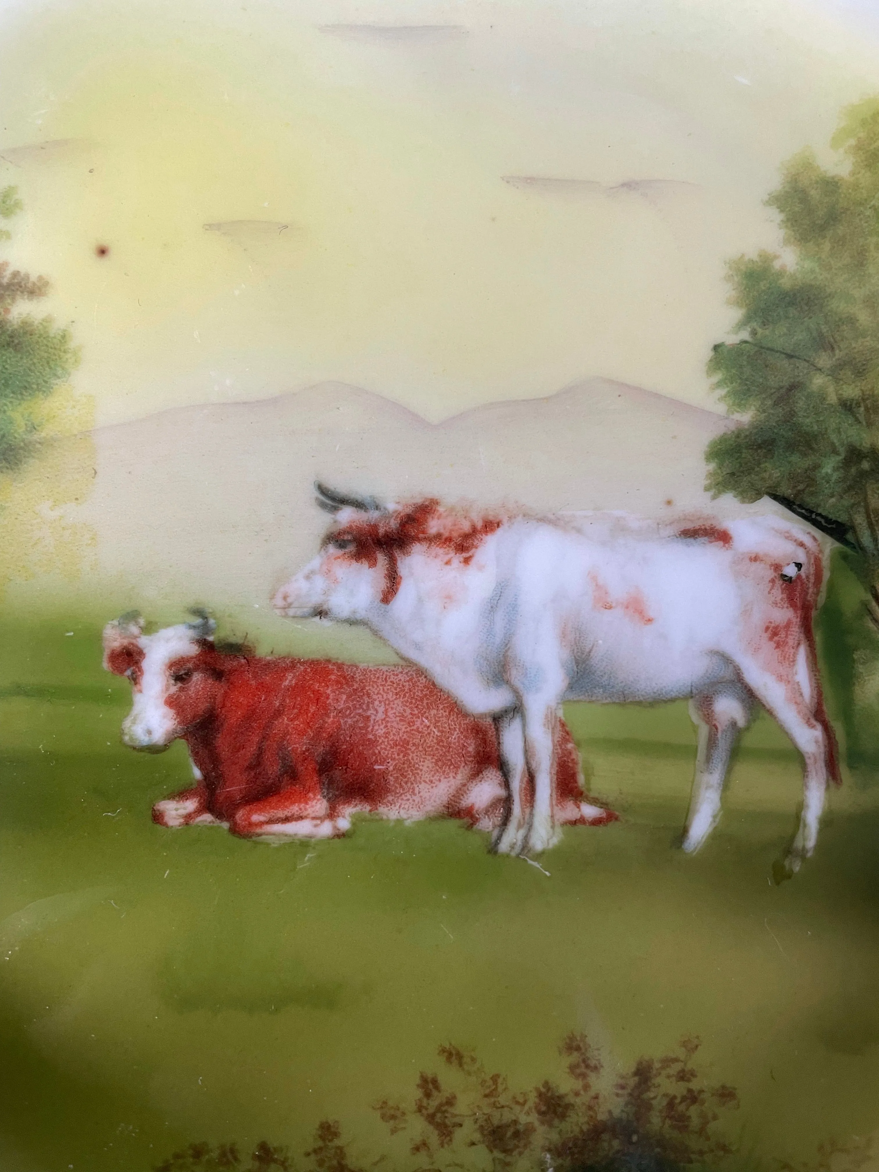 Cows in Pasture Plate