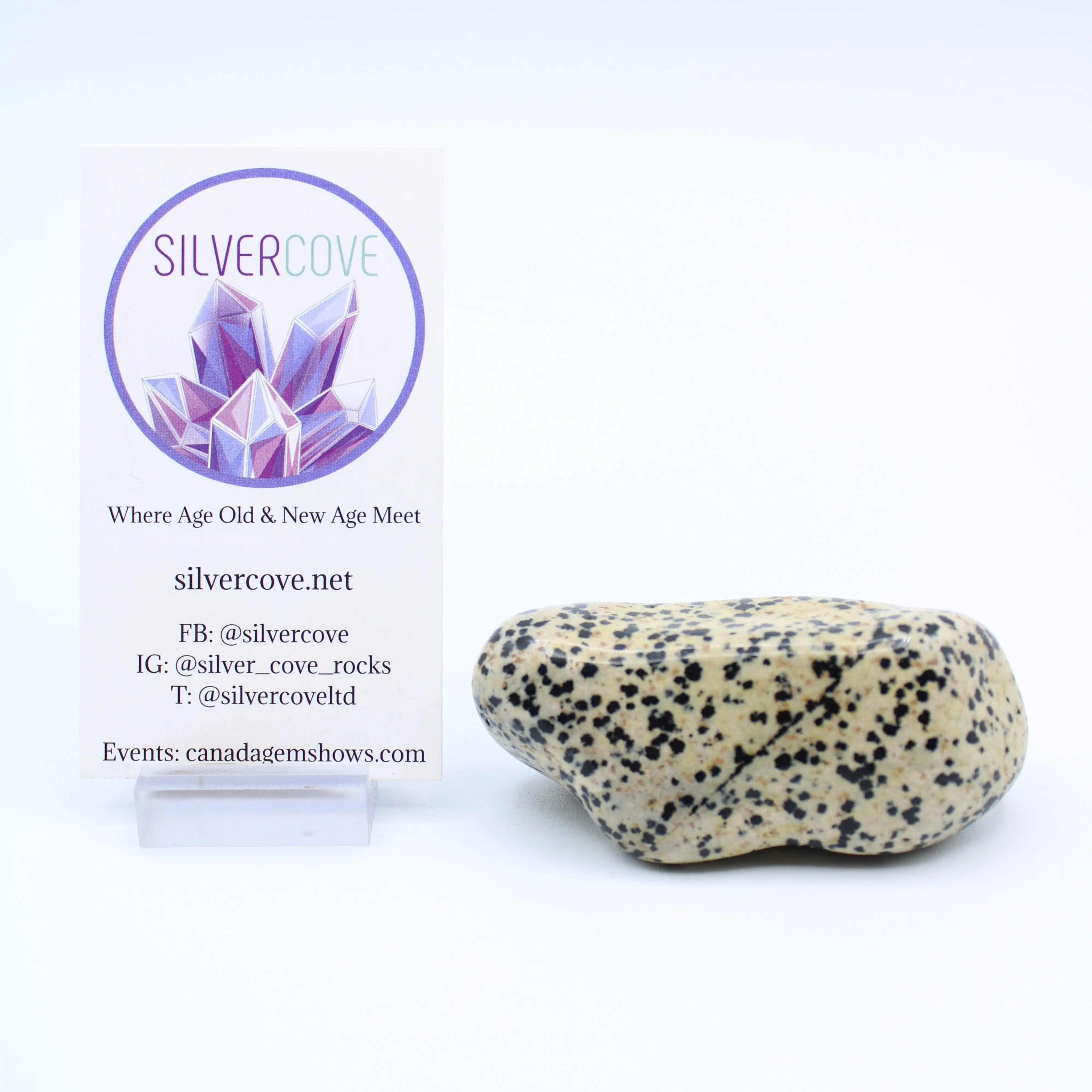 Dalmatian Jasper Free-Form