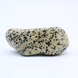 Dalmatian Jasper Free-Form