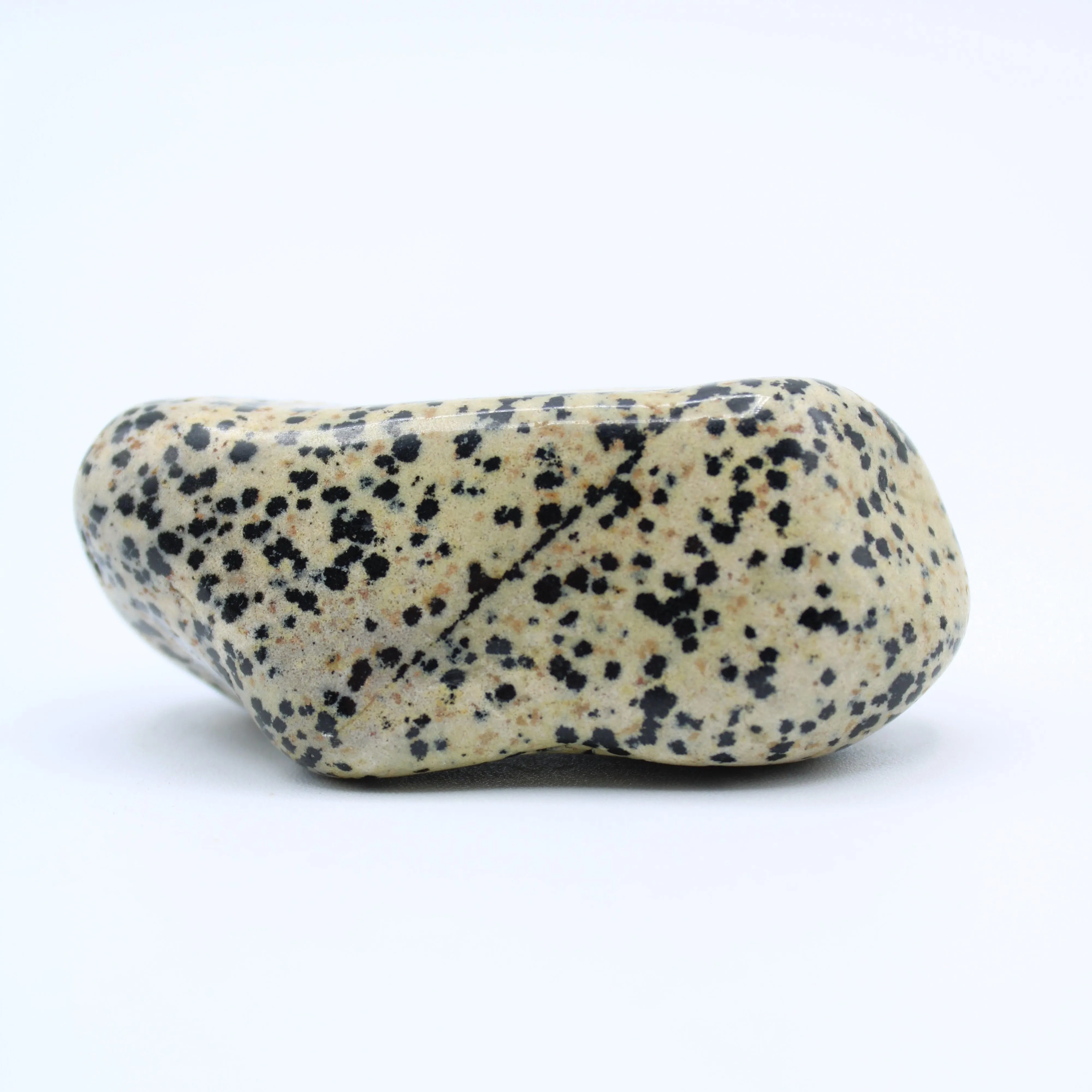 Dalmatian Jasper Free-Form