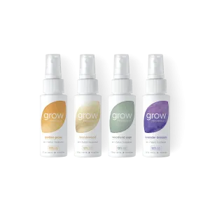 Everyday Favorites Discovery Set