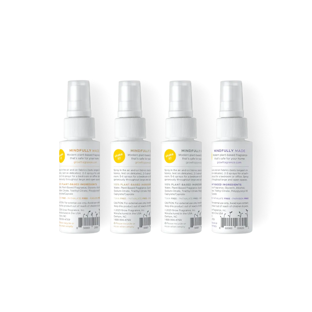 Everyday Favorites Discovery Set