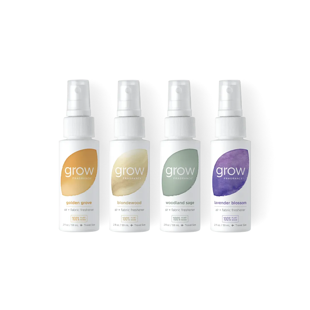 Everyday Favorites Discovery Set