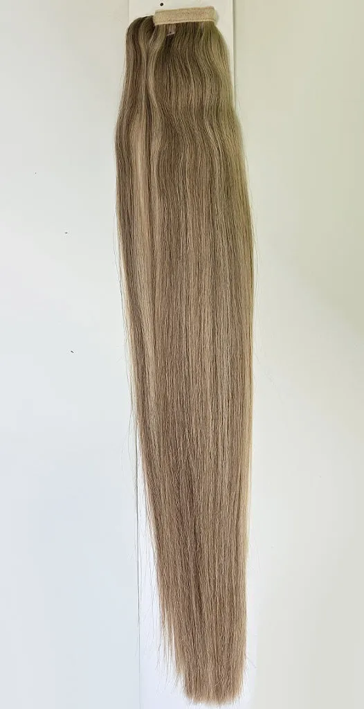 Human Hair Ponytail Colour 10/22
