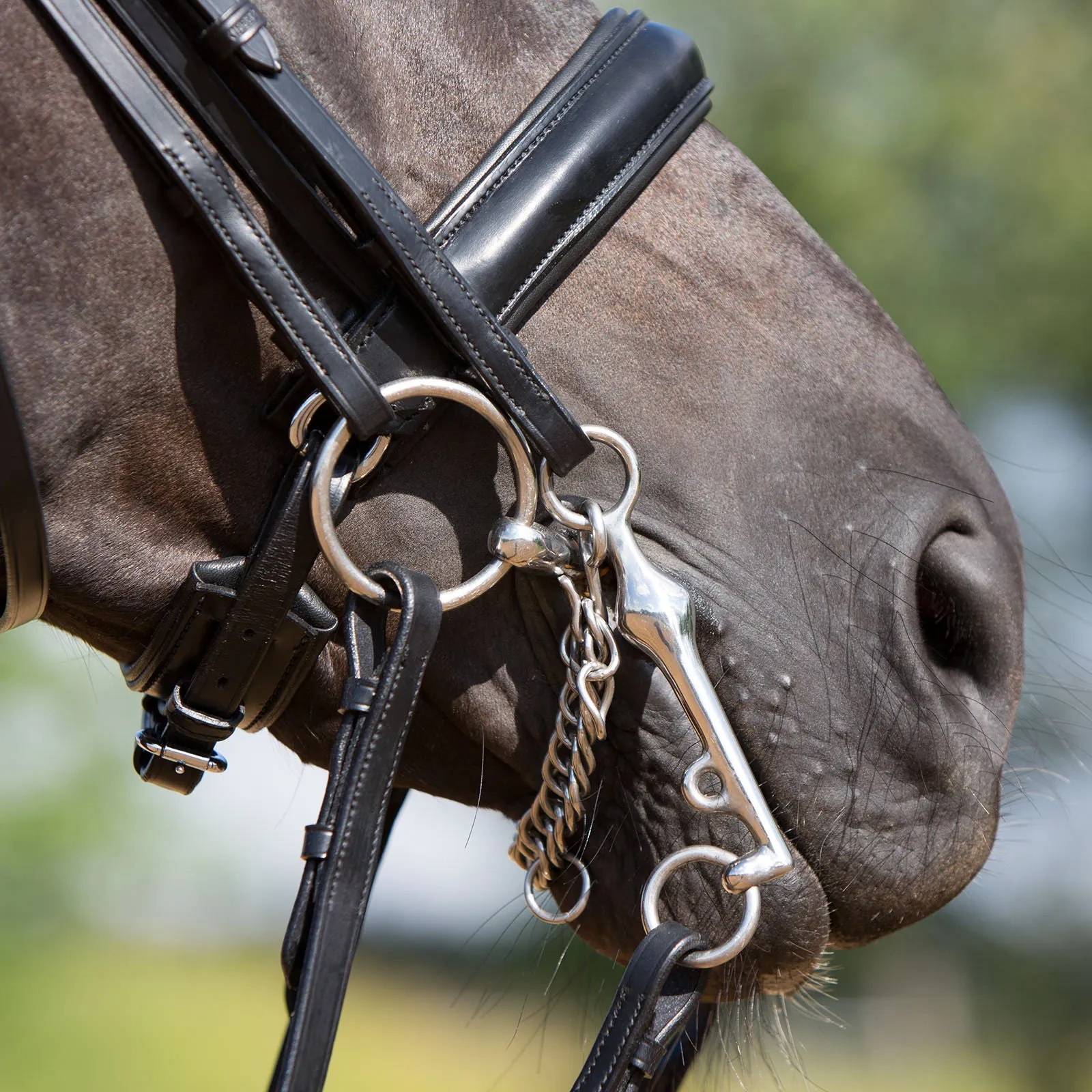 Kieffer Comfort Lyon Double Bridle