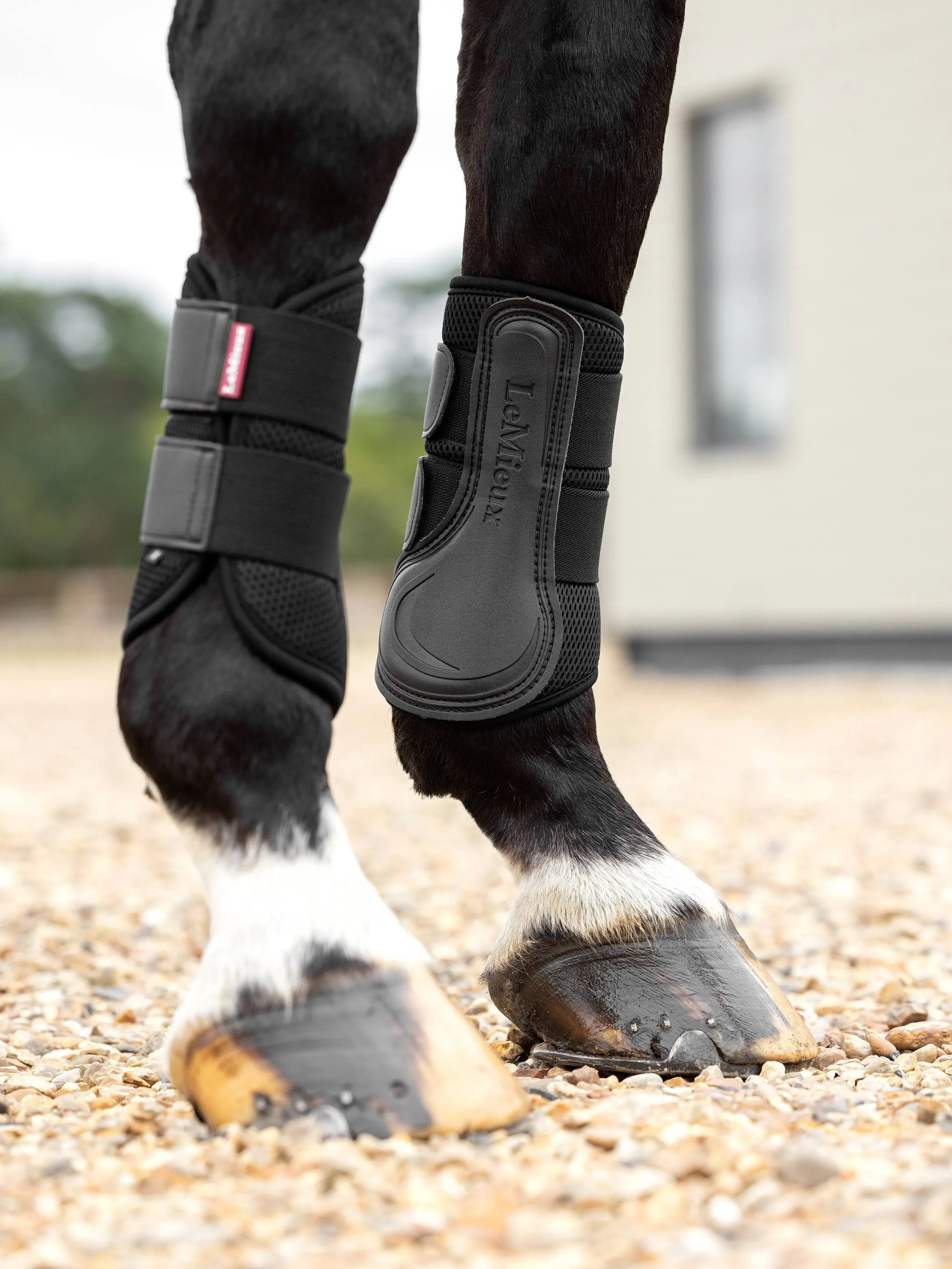 LeMieux ProSport Black Mesh Brushing Boots