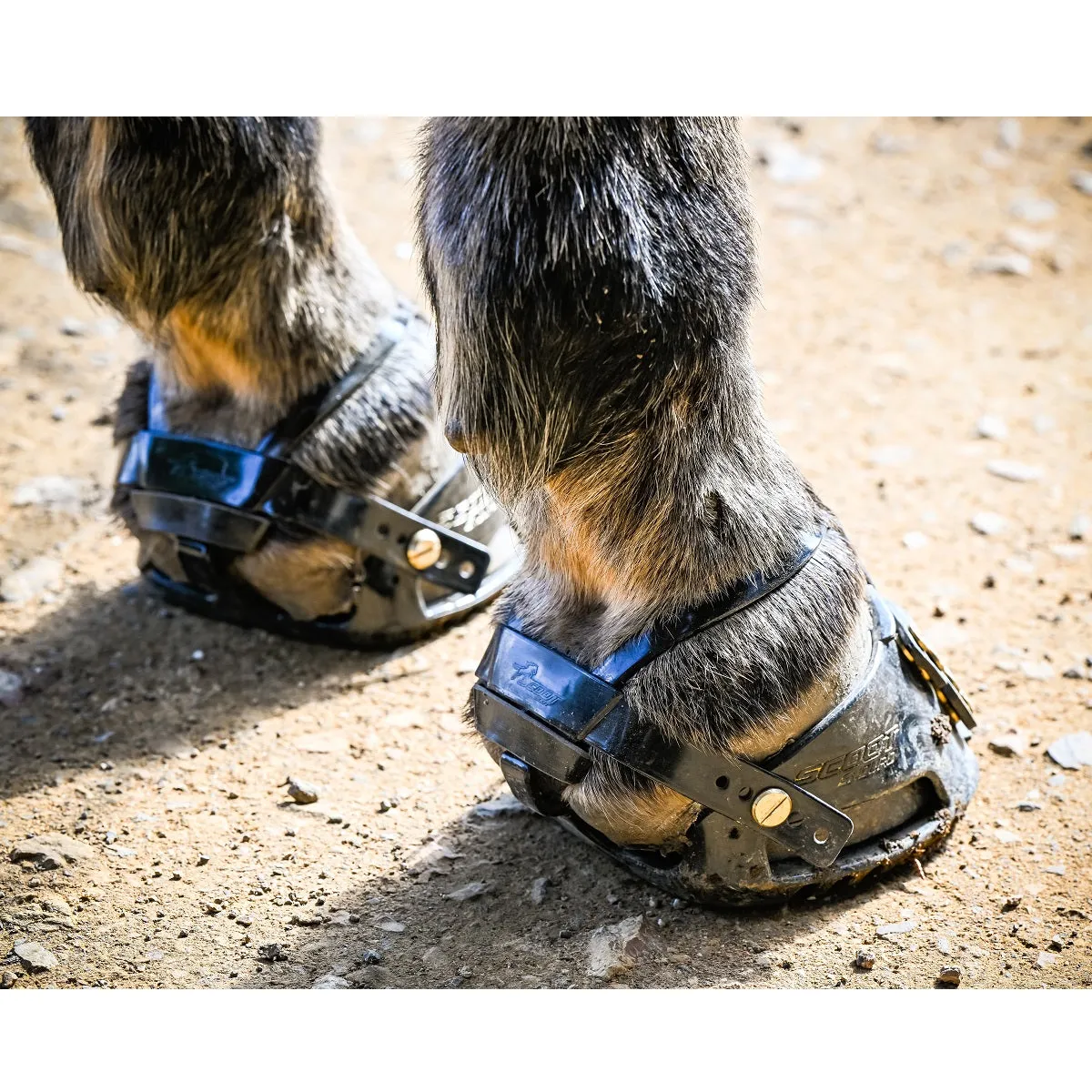 Scootboot ADJUST Hoof Boots - PAIR