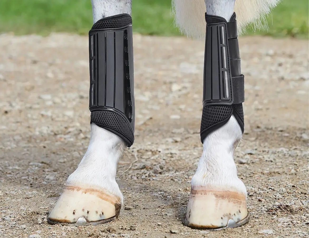 Weatherbeeta Eventing Hind Boot