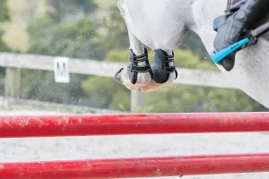 WeatherBeeta Pro Air Fetlock Boots- Cob
